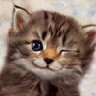 Unikittycornastegasaurus