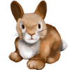 BunnySparkles99