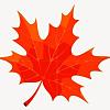 LoonMoose