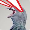 LaserPigeons