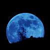 #Blue_Moon513